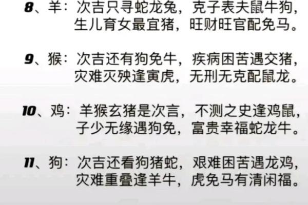 鼠命与生肖配对：寻找幸福的最佳伴侣与秘诀