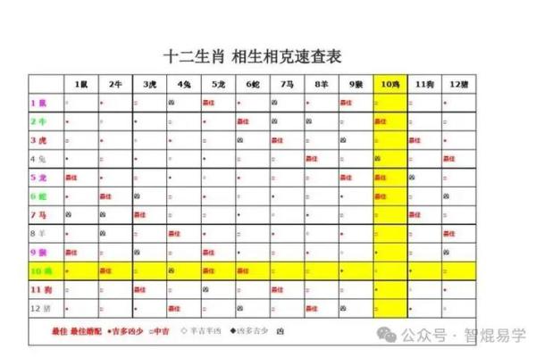 命与犬：探索人与狗的相生相克关系