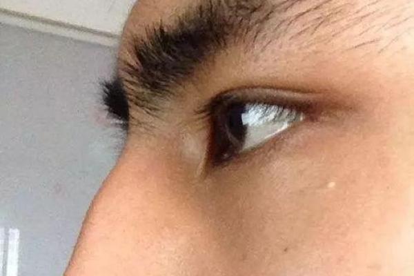 扁鼻男人:面相与命运的奇妙关联解析 扁鼻男人:面相与命运的奇妙关联解析