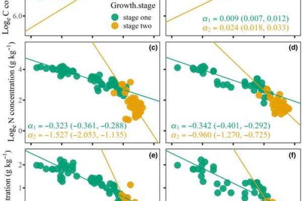 根据命理看抽烟选择,揭示吸烟背后的秘密与个体特征 根据命理看抽烟选择,揭示吸烟背后的秘密与个体特征