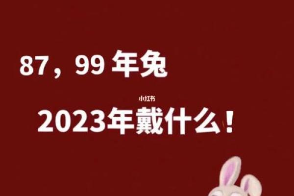 2023年39岁：解密这一年的命运与生活智慧