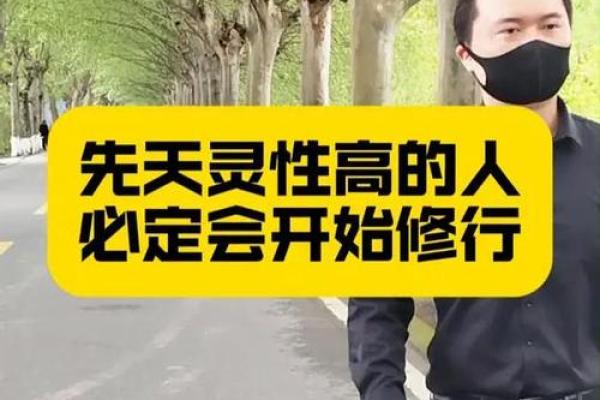 91岁属鸡者的命理解析：智慧与灵性的结合之路