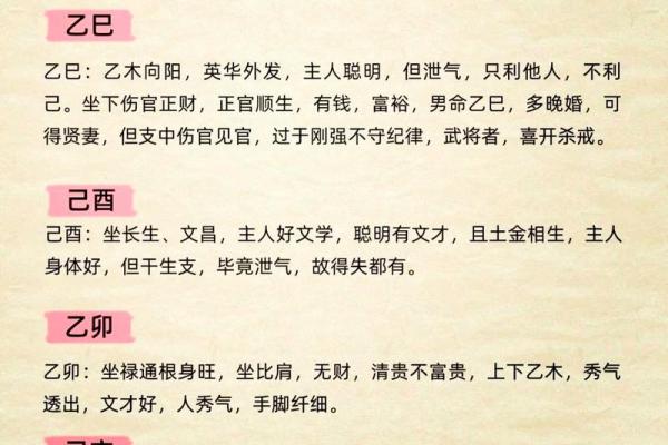 命理学的奥秘：解开人生的密码与命运的指引