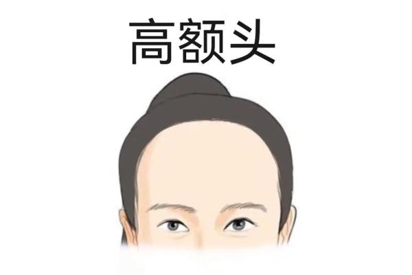 探索额头低颧骨高的命理学：隐藏在面相中的人生奥秘