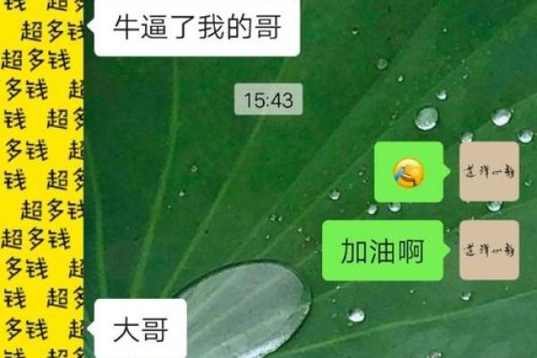 探秘地下童子命：神秘命理背后的故事与影响