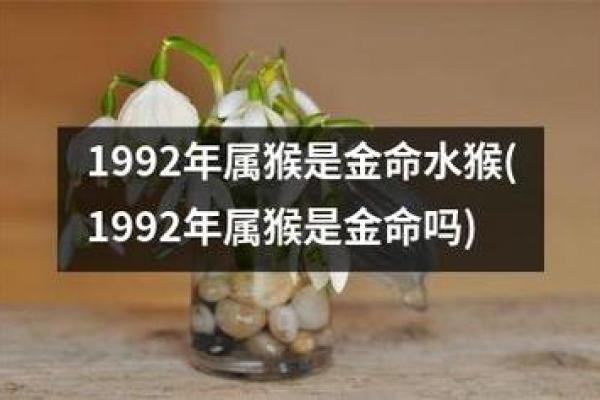 探索1968年出生者的命运与性格特点——揭开属猴之人的神秘面纱