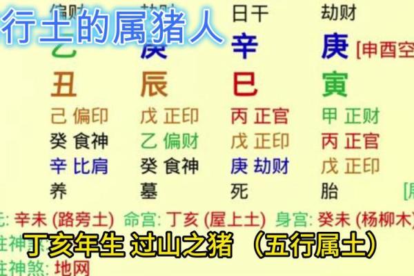 属狗人的命运解析：从五行看他们的未来与性格特点