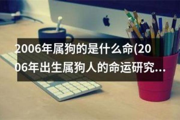 94年属狗人的命运解析与人生指南