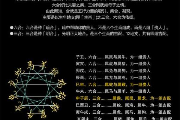 2019年八字解析：属于什么命？揭示你的命运之路！