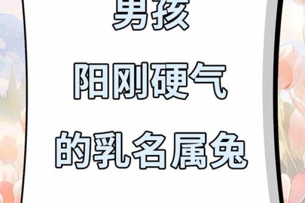 属兔男孩命理解析：什么命最好，如何助力未来发展？