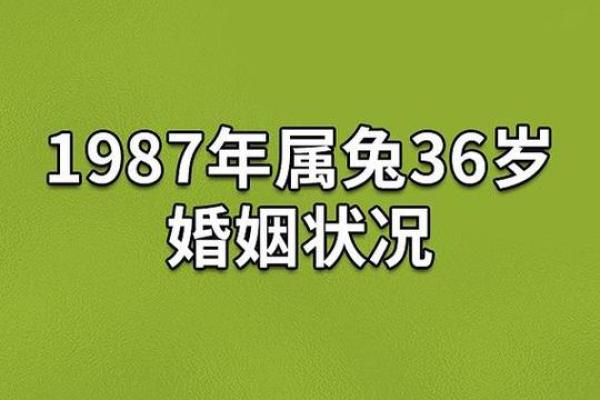 没结婚孩子是什么命？探寻独特人生轨迹与幸福养成之路