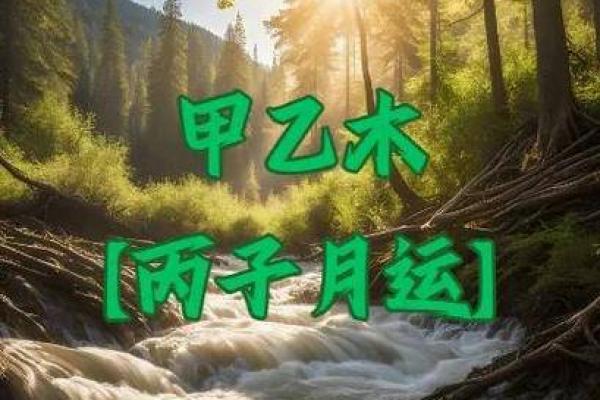 探究木命之家：适合挂什么画提升运势与环境美感