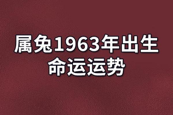 1975年男兔命运解析：一生的巅峰与挑战