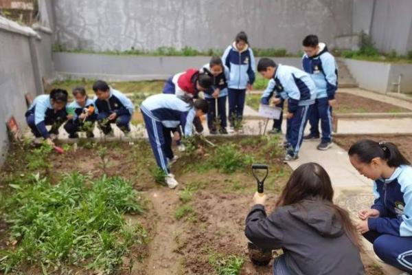 在校园中绽放的劳动之花——探索学校劳动基地的魅力与实践