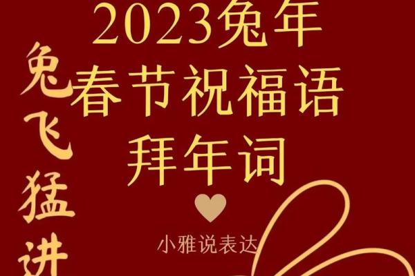 乙卯兔命：探秘1999年出生兔年的命理与个性特征