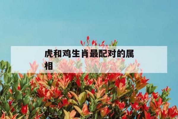 虎年生肖特征揭秘：解析你的性格与命运