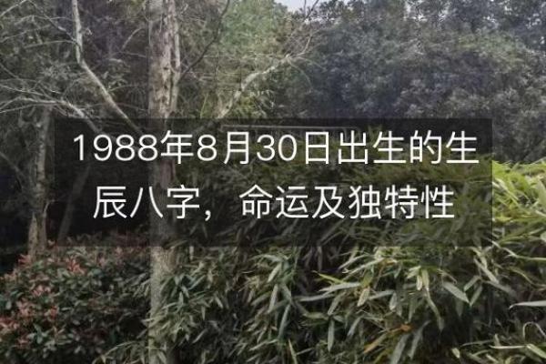 探秘1999年出生者的命运与性格特点