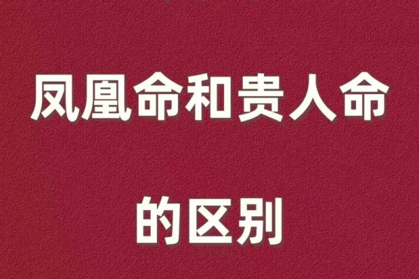 根据数字决定你是什么命，探索命运的奥秘与人生的选择