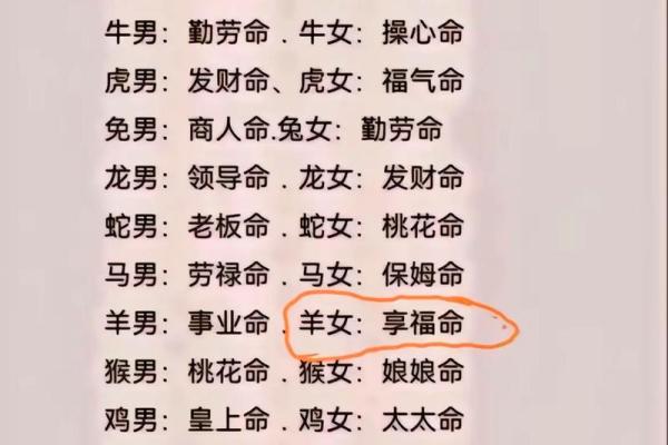 兔年出生的人属什么命？解密兔年命理与性格特点！