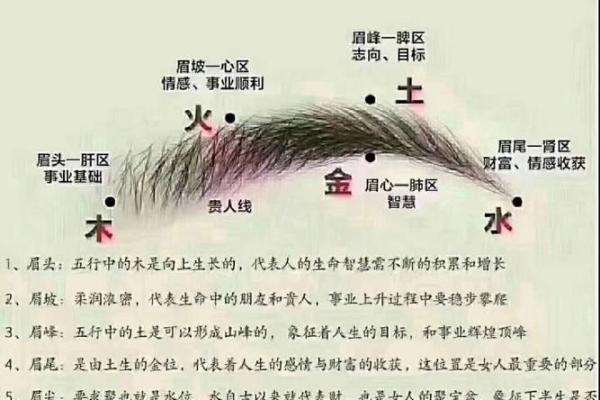 大眉毛的人是什么命？解析眉毛与命运的神秘关系