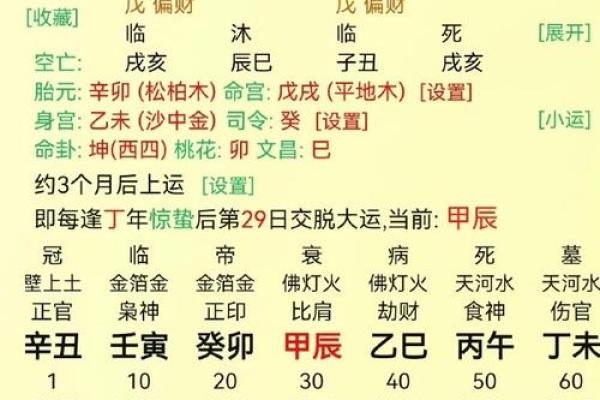 解析己巳年人的命运：性格、事业与生活的深度剖析