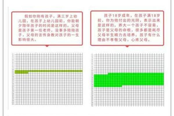 2017年的命理解析：五行与人生的奥秘探讨