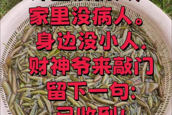 财神命的深刻含义与人生智慧探讨