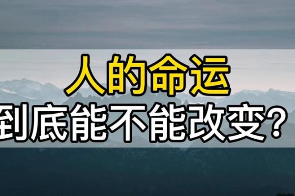 知命者的智慧与选择：如何通过自我认识改变人生轨迹