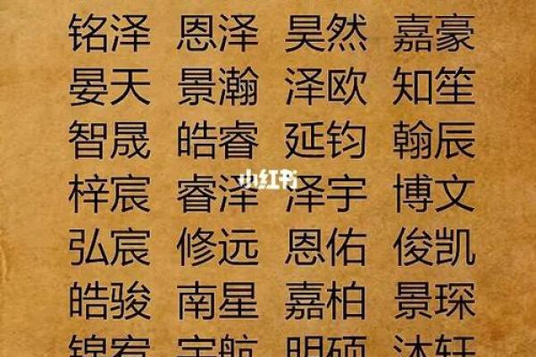 寅时出生的虎宝宝女命运解析：如何理解她的性格与未来发展