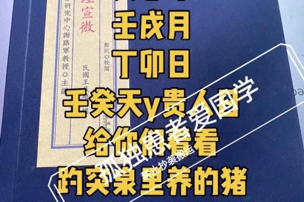 探寻丙子年未时命理：运势、性格与生活的奇妙连接