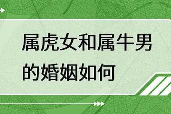 探究1997年生肖：属牛之命的独特魅力与人生轨迹