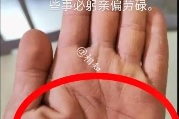 男人手瘦长，命运深藏：解读手型与人生的秘密