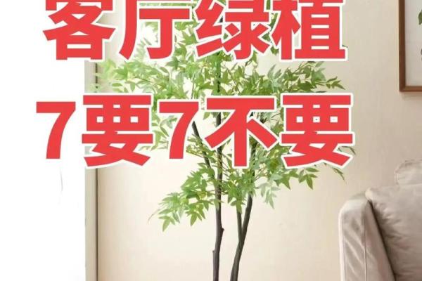 金命客厅植物选择指南：打造和谐家居环境