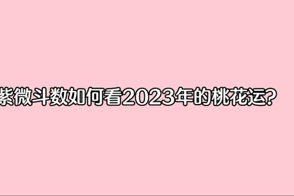 桃花渡劫：破解命格的神秘之钥，探寻桃花运与命运的关系