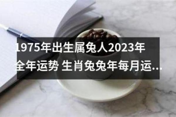 2023兔年出生的孩子命运分析：在兔子引领的温柔世界中成长