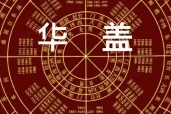 男孩的华盖命：探索命理中的光辉与挑战