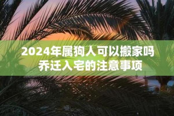 2006年属狗男性命运解析：性格、事业与感情的全面解读