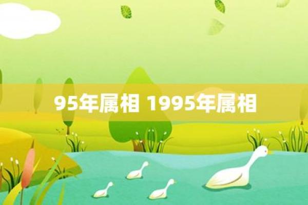 1995年出生的命运与五行金的奇妙关联