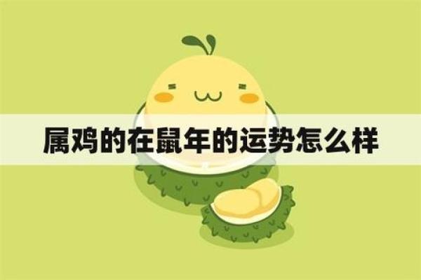 属鸡命理解析：05年属鸡人的性格与运势详解