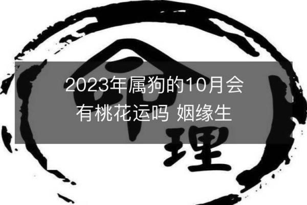 属狗29岁如何选择命理更佳，助你事业与生活双丰收！