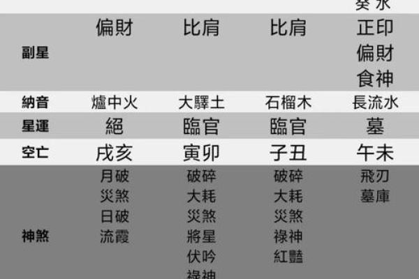 揭开命理之谜：癸酉、辛酉、己酉、丙子命的命运解析与人生启示