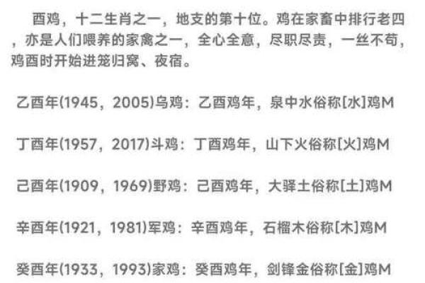 探秘十二生肖：如何从命里缺什么来改善生活质量