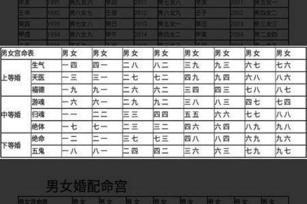 探秘命理：东四命与西四命的深刻含义与生活影响