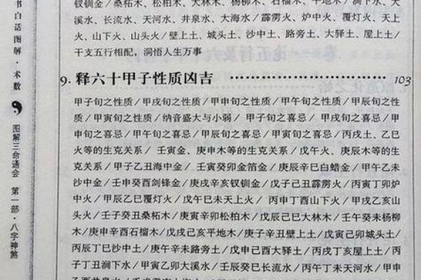 探索命理学的奥秘：看什么书籍，助你洞悉人生密码！