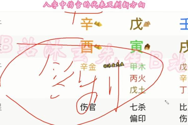 男命无伤官：命理中的隐秘影响与人生启示