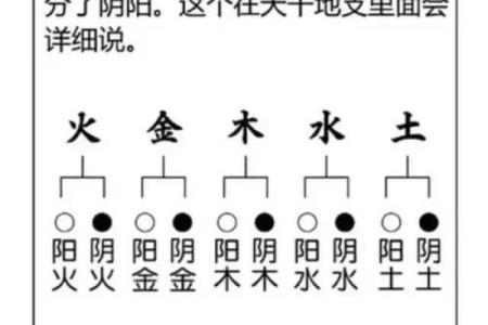 2013年出生男孩的命运解析：阴阳五行与个性命理的完美结合