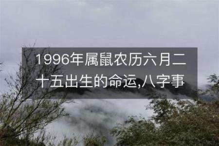 1996年属鼠，九月出生的命运与运势解析