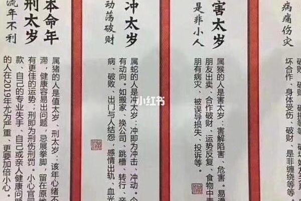 2019年属猪的命运解析：探索成功与机遇之路