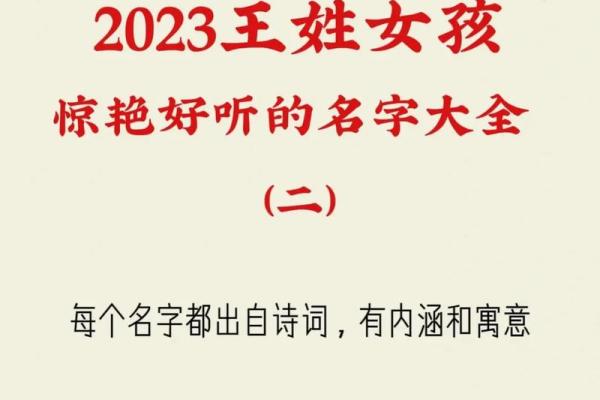 2023年属兔者的命理解析：运势、性格与发展方向！