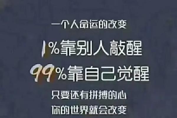 己卯年命特点及其不利影响解析，揭示命理背后的智慧与选择